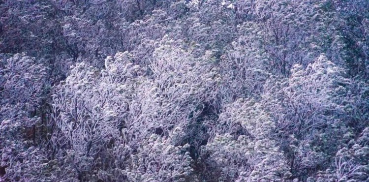 深圳周边温泉特别推荐的温泉胜地周末就能泡